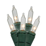 50 Light Clear Random Twinkle E-C GW 4"Sp 16