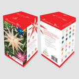 14" Red Moravian Star Light - BulbAmerica