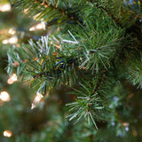 2' Douglas Fir Table Top Tree, Clear Lights