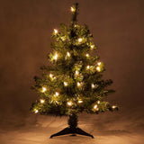 2' Douglas Fir Table Top Tree, Clear Lights - BulbAmerica