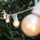 Kringle Traditions - WG-15073 - BulbAmerica