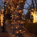 50 Clear Mini Lights 2.5" Spacing_5