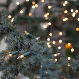 50 Clear Mini Lights 4" Spacing_2