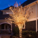 50 Clear Mini Lights 6" Spacing_2