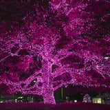 50 Pink Mini Lights 6" Spacing_2