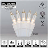100 Clear Mini Lights 4" Spacing - BulbAmerica