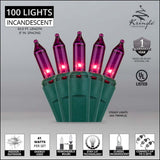 100 Purple Mini Lights 6" Spacing - BulbAmerica