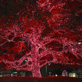 100 Red Mini Lights 6" Spacing_2