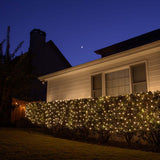 4' x 6' Clear Christmas Net Lights, 150 Lamps_1