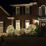 4' x 6' Clear Christmas Net Lights, 150 Lamps_4