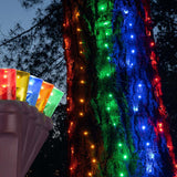 2' x 8' Multicolor Christmas Trunk Wrap Lights, 100 Lamps