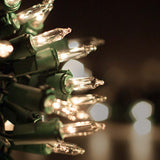 100 Clear Twinkle Mini Lights 6" Spacing_2