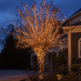 100 Clear Twinkle Mini Lights 6" Spacing_3