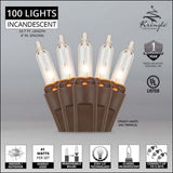 100 Clear Mini Lights 4" Spacing - BulbAmerica