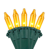 50 Gold Mini Lights, Lamp Lock 4" Spacing