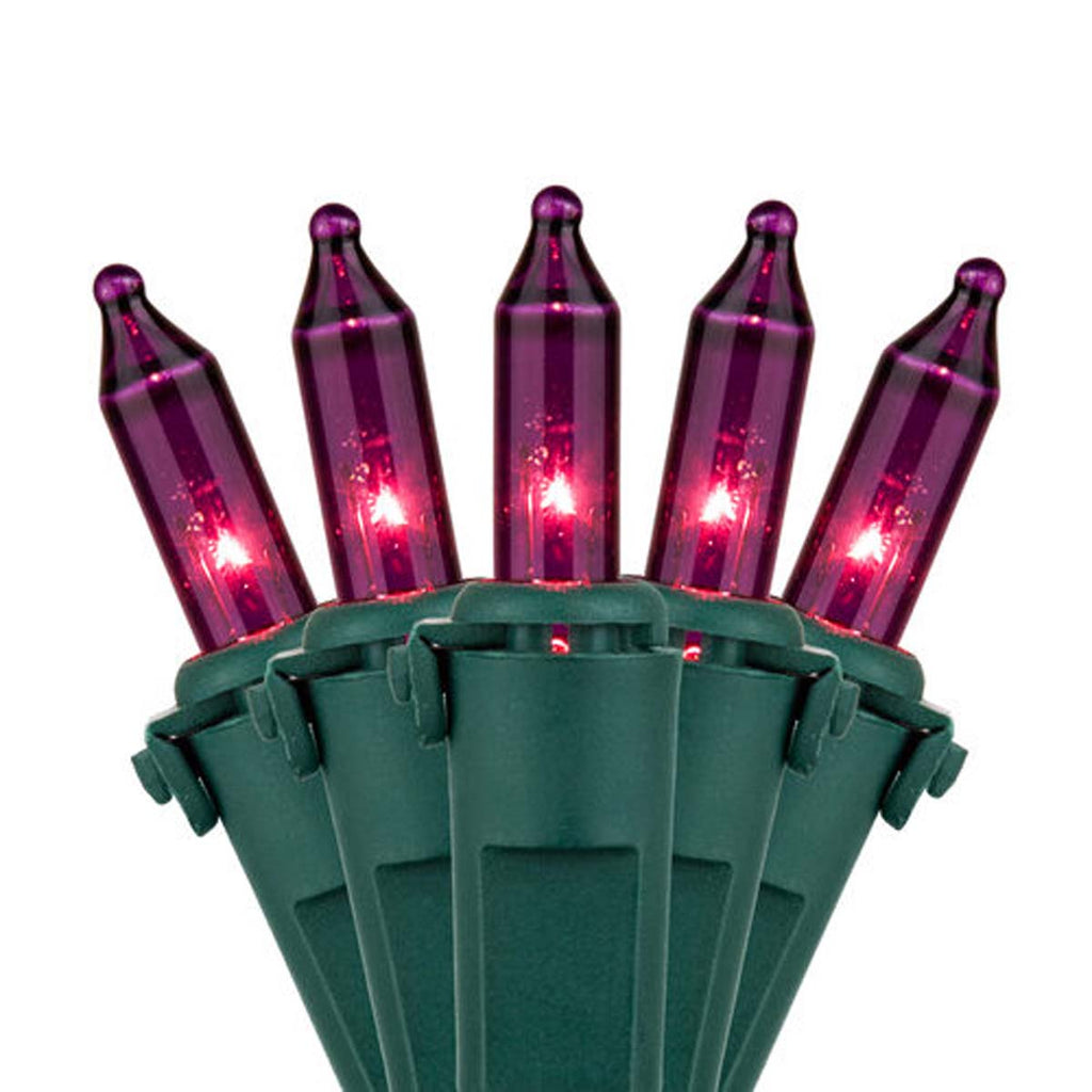 50 Purple Mini Lights, Lamp Lock 4" Spacing