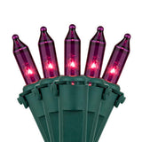50 Purple Mini Lights, Lamp Lock 4" Spacing