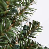 Kringle Traditions - WG-17957 - BulbAmerica