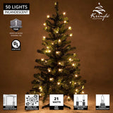 2' Douglas Fir Table Top Tree, Multicolor Lights_2