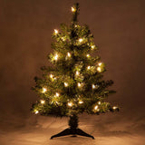 2' Douglas Fir Table Top Tree, Multicolor Lights_3