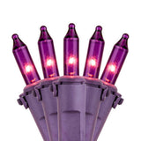 50 Purple Passion Mini Lights, Lamp Lock, 6" Spacing