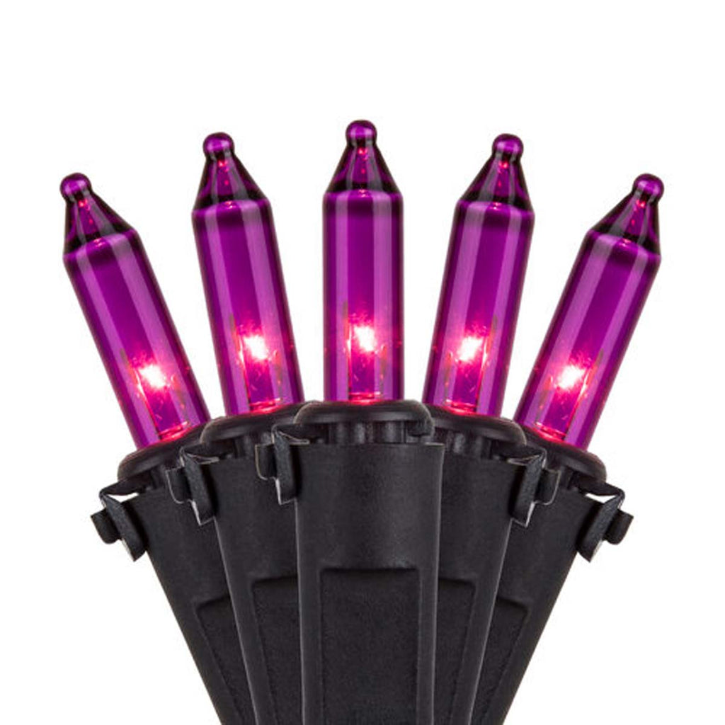50 Purple Mini Lights, Lamp Lock 6" Spacing