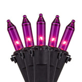 50 Purple Mini Lights, Lamp Lock 6" Spacing