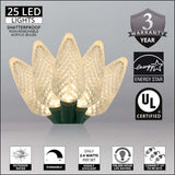 Wintergreen Lighting - WG-20349 - BulbAmerica