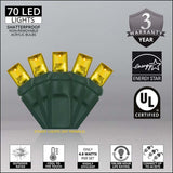 Wintergreen Lighting - WG-20355 - BulbAmerica