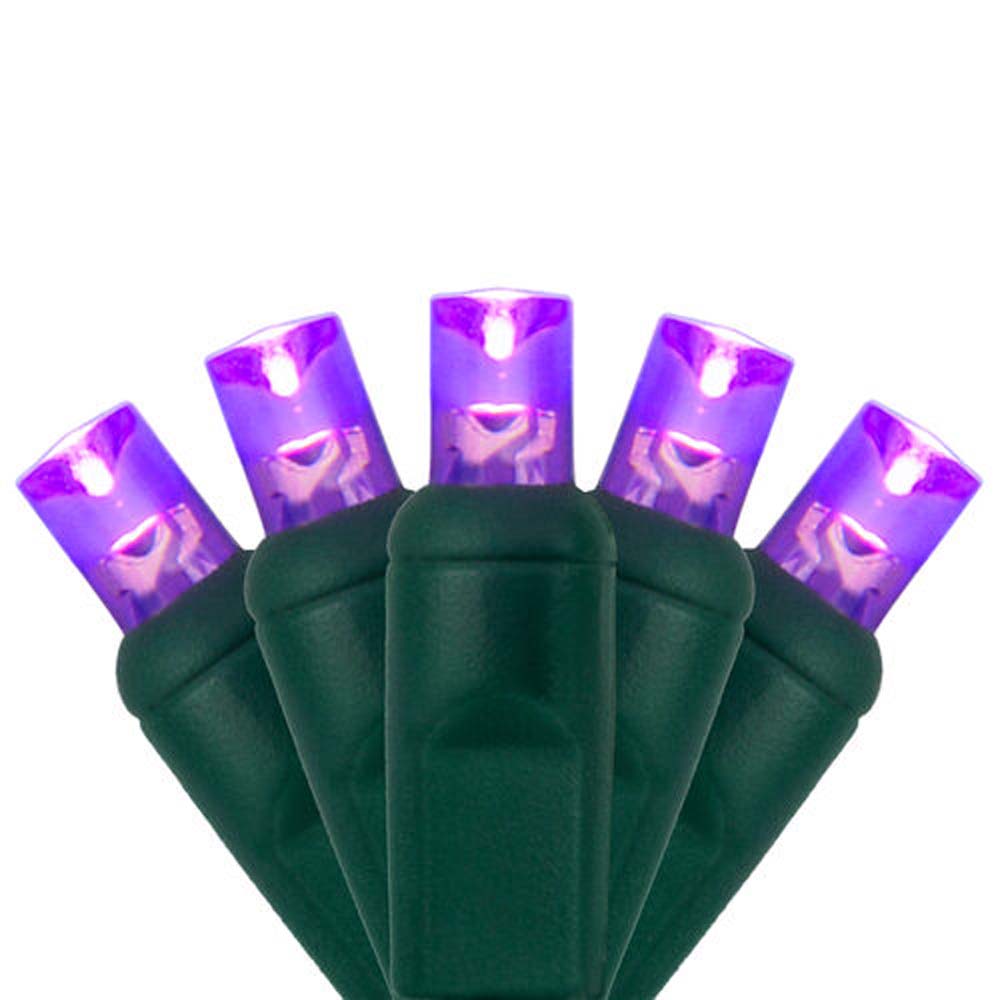 70 Purple 5mm LED Christmas Lights 4" Spacing