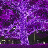 70 Purple 5mm LED Christmas Lights 4" Spacing_2