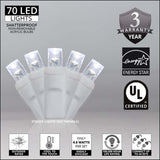 Wintergreen Lighting - WG-21855 - BulbAmerica