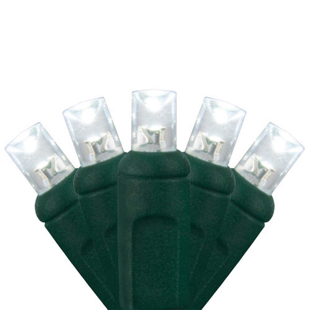 50 5mm Cool White LED Christmas Lights 4" Spacing