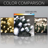 50 5mm Cool White LED Christmas Lights 4" Spacing - BulbAmerica