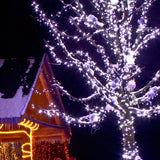 50 5mm Cool White LED Christmas Lights 4" Spacing_3