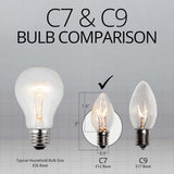 25 Bulbs - C7 Twinkle Transparent Clear, 7 Watt lamp - BulbAmerica