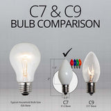 25 Bulbs - C7 Opaque Multicolor, 5 Watt lamp - BulbAmerica