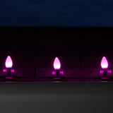 25 Bulbs - C7 Opaque Pink, 5 Watt lamp_1