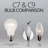 25 Bulbs - C7 Opaque White, 5 Watt lamp - BulbAmerica
