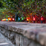 25 Bulbs - C9 Triple Dipped Transparent Multicolor, 7 Watt lamp_2