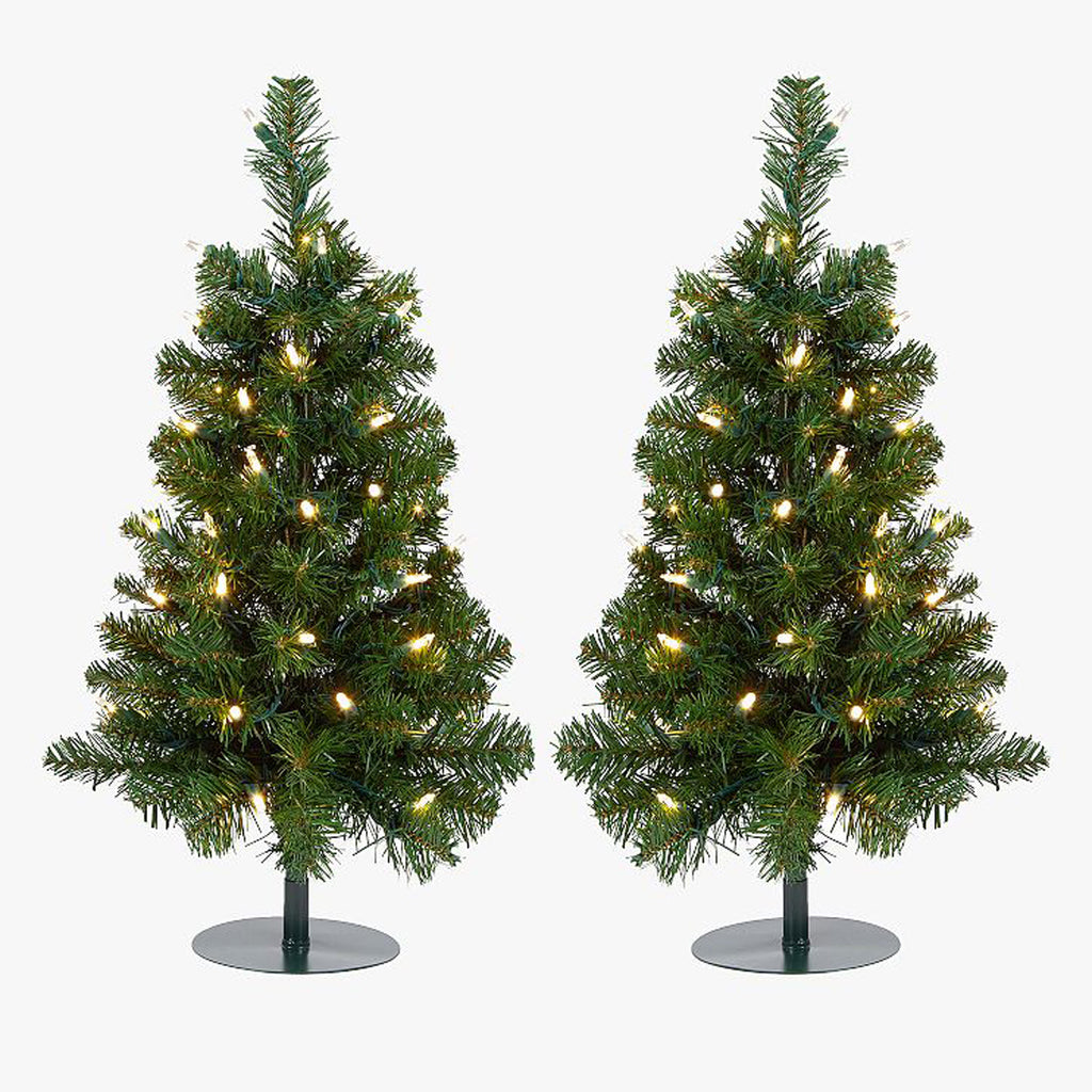 2 Trees - 2' Winchester Fir Walkway Tree, Clear Lights