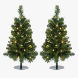 2 Trees - 2' Winchester Fir Walkway Tree, Clear Lights