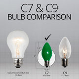 C7 Green Opaque Steady 25 Light Set 12" Spacing - BulbAmerica