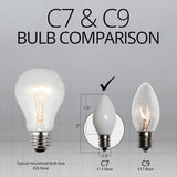 C7 White Opaque Steady 25 Light Set 12" Spacing - BulbAmerica