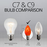 C7 Amber Transparent Steady 25 Light Set 12" Spacing - BulbAmerica