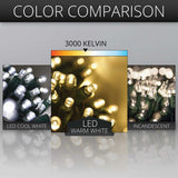 50 5mm Warm White LED Christmas Lights 4" Spacing - BulbAmerica