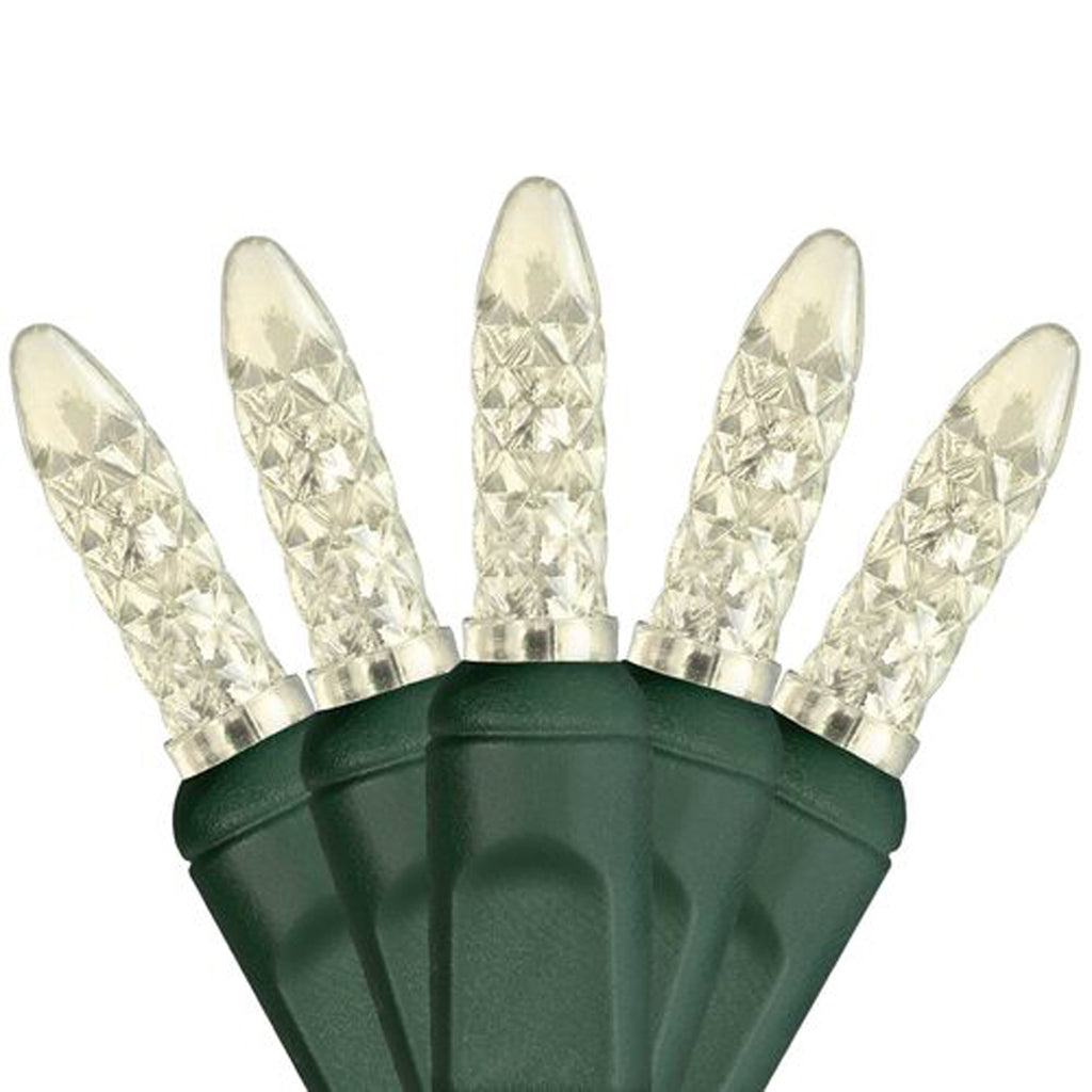 50 M5 Warm White LED Lights 4" Spacing