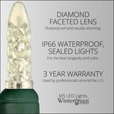 50 M5 Warm White LED Lights 4" Spacing_1