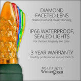 50 M5 Multi Color LED Lights 4" Spacing - BulbAmerica