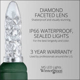 50 M5 Cool White LED Lights 4" Spacing - BulbAmerica